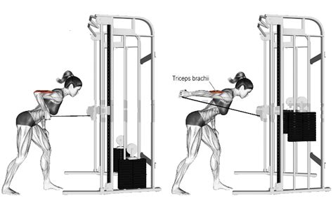 Cable Tricep Kickback Video Exercise Guide